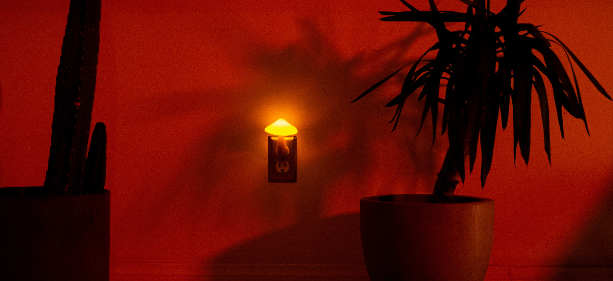 Shop LED wall lighting