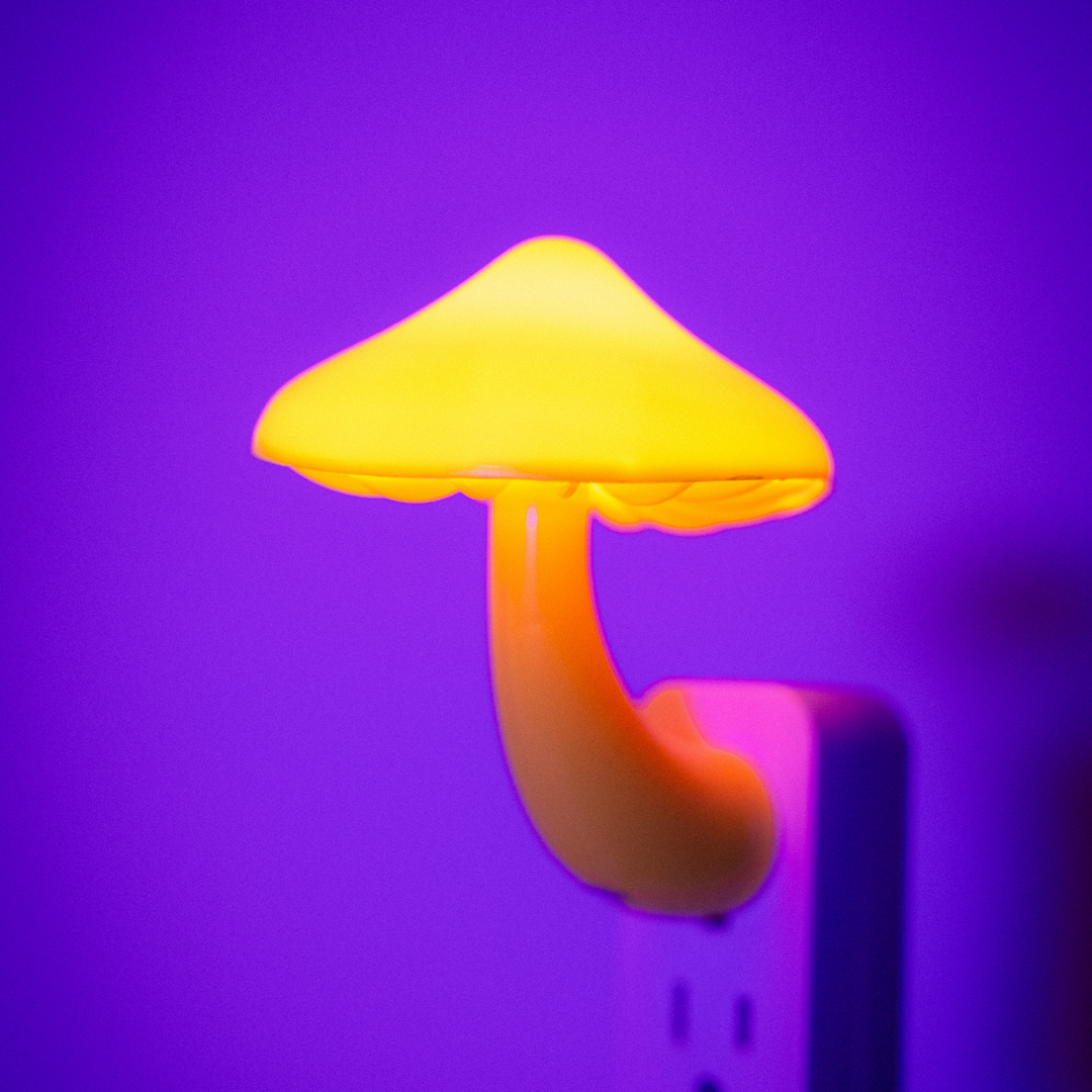 Mushroom Wall Lamp colors